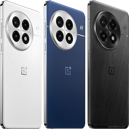 OnePlus 13 (Global CPH2653)